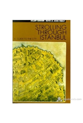 Strolling Through Istanbul A Guide To The City