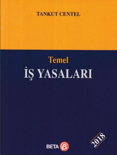 Temel İş Yasaları