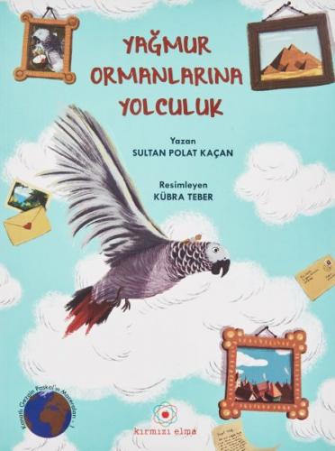 Yağmur Ormanlarına Yolculuk