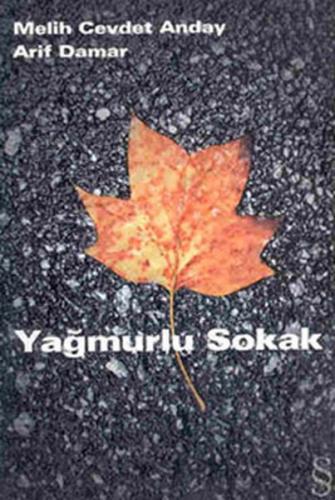 Yağmurlu Sokak