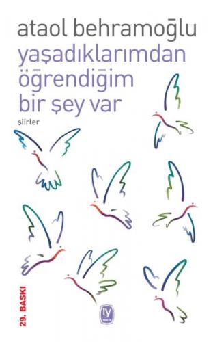 Yaşadıklarımdan Öğrendiğim Bir Şey Var