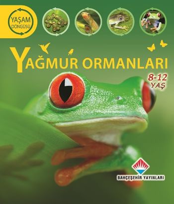 Yaşam Döngüsü - Yağmur Ormanları (8-12 Ages)