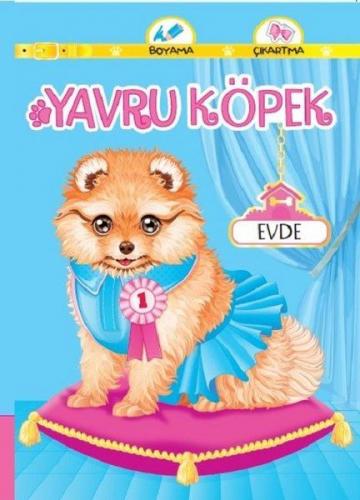 Yavru Köpek Evde