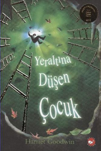 Yeraltına Düşen Çocuk